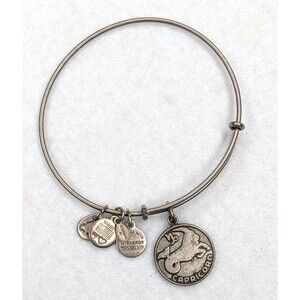 ALEX AND ANI Capricorn Zodiac Astorology Silver-tone Charm Bracelet 2013